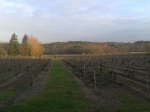 2011-12-30 09.36.53.jpg