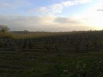 2011-12-30 09.37.02.jpg