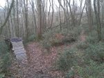 2011-12-30 11.17.20.jpg