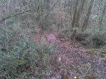 2011-12-30 11.18.38.jpg