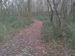 2011-12-30 10.25.01.jpg