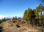 DSCN2294.jpg