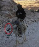 bmw.jpg