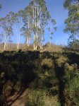 Imagen0588.jpg