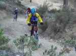 PC310132 [31].JPG