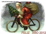 fin anual 11 copia.jpg