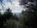 PC310026.jpg