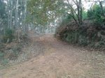 2011-12-31 09.44.37_800x600.jpg