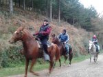 2011-12-31 10.31.37_800x600.jpg