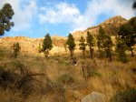 DSCN2316.jpg