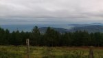 DSC_0559.jpg