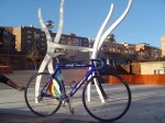 DSC00164.JPG