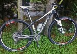 Scale29er.jpg