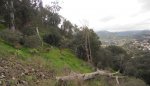 DSCN1574.JPG