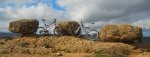 DSCN1583.JPG
