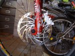 dsc00537.jpg