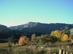 guara_nororiental_018_reresize.jpg