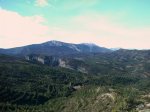 guara_nororiental_010_reresize.jpg