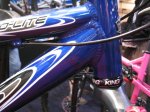 ib_expo2_0112_1_.sm.jpg