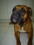 dsc01779.jpg