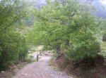 100_0098__small_.jpg