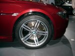 p1050150__medium_.jpg