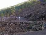 Resize of PICT0720.JPG
