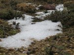 IMG_2194.JPG