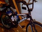 bmxxx.jpg