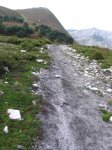 IMG_0986.JPG