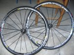 BH  y  Ruedas kasyriun Elite 004.jpg
