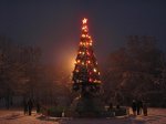 IMG_4574.JPG