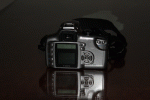 Img_4291.gif