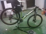 IMG-20111208-00073.jpg