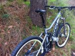 mi bici 3.jpg