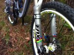 mi bici 8.jpg