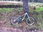 mi bici 11.jpg