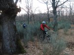 P1030011 (Copiar).JPG