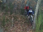 P1030015 (Copiar).JPG