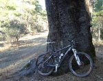 DSC05903.a.jpg