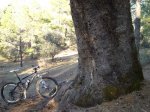 DSC05903.b.jpg
