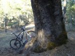 DSC05903.d.jpg