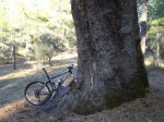 DSC05903.e.jpg