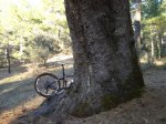 DSC05903.f.jpg