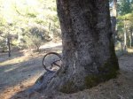 DSC05903.g.jpg