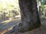 DSC05903.h.jpg