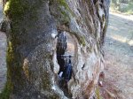 DSC05903.j.jpg