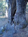 DSC05903.k.jpg