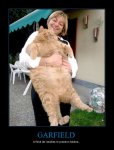 gato gordo.jpg