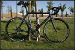 Klein Quantum 22.jpg